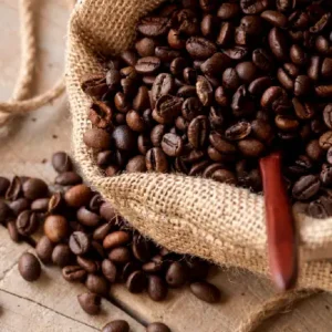 café robusta dordogne