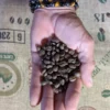 vente Café en grains dordogne