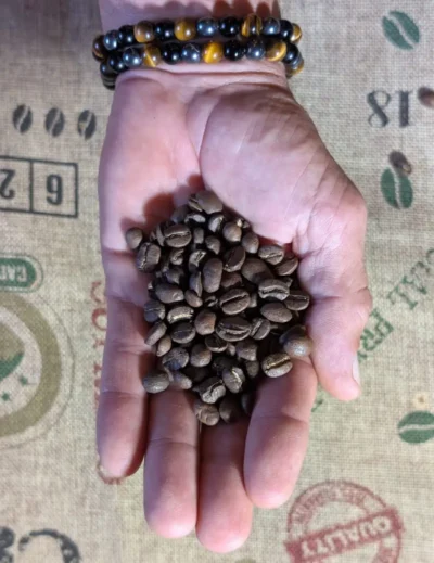 Café en grains Dordogne